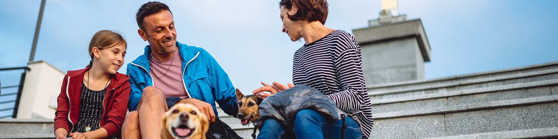 Family petting a dog